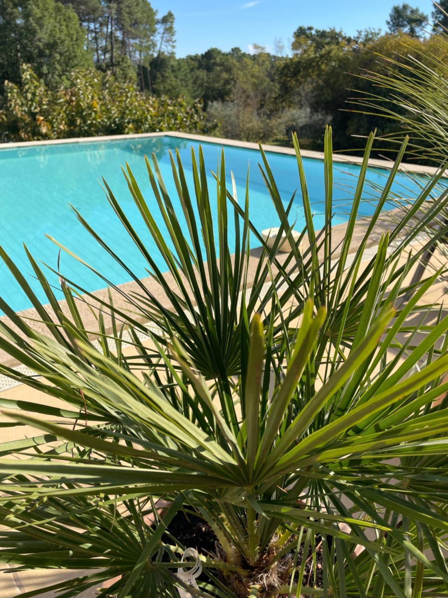 Roussillon en IsereO Coeur Des Ocres公寓 外观 照片